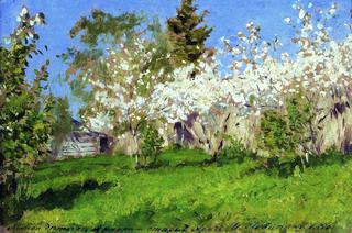 Apple Trees in Bloom