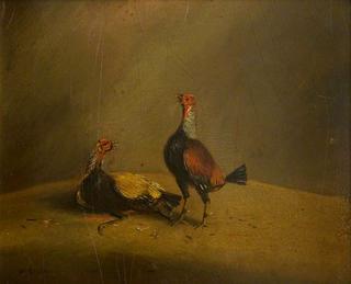 Cockfighting