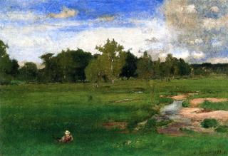 Meadowland in June