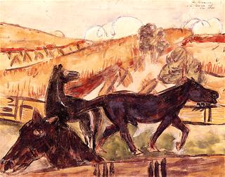 Horses in the Paddock
