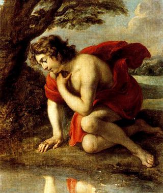 Narcissus