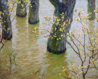 Spring Flood