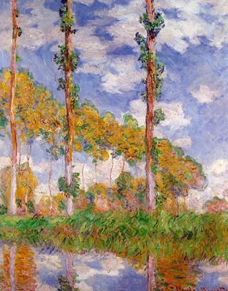 Poplars in the Sun