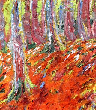 Forest Floor