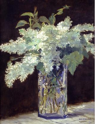 White Lilac