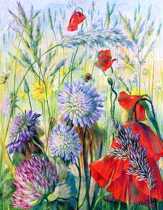 Poppies