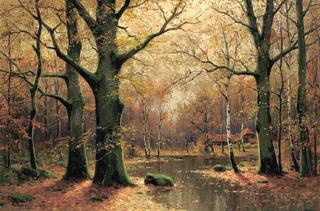 Forest in Autumn