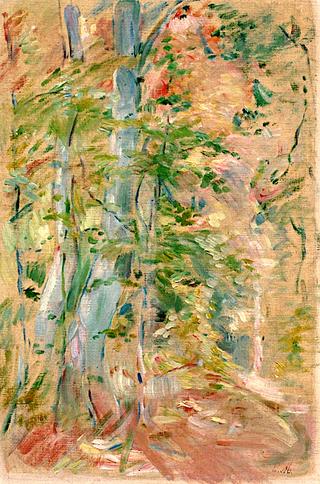 Forest Study