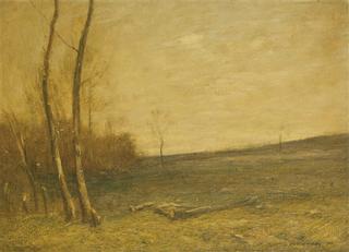 Corner of a Woodlot