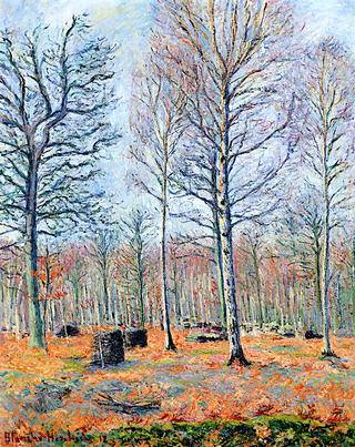 In the Wooded Marshes of Giverny, Autumn Light