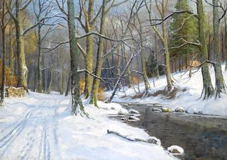 Winter Landscape