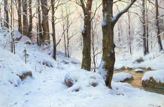 Stream in the Winter Forest
