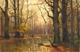 Forest in Autumn