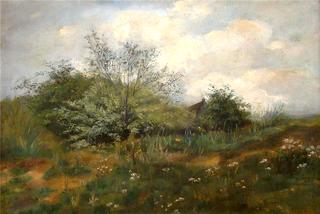 Flowering Meadow