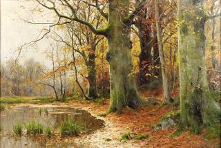 Autumn Landscape