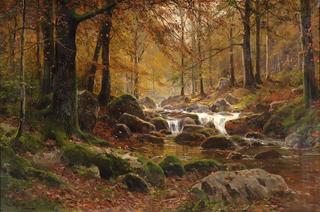 Stream in the Autumn Forest