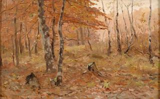 Autumn Forest