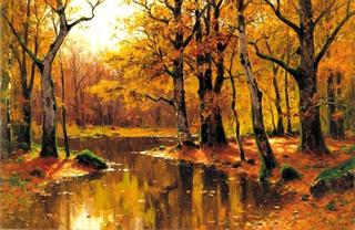 Forest in Autumn