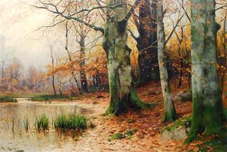 Forest in Autumn