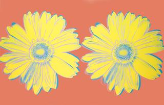 Daisies