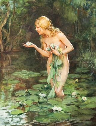 The Lily