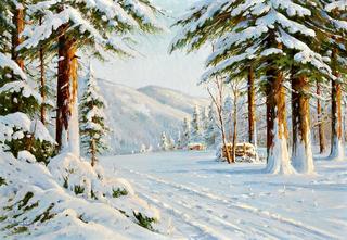 Forest in the Snow