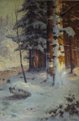 Forest in Winter