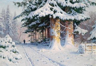 Forest in Winter