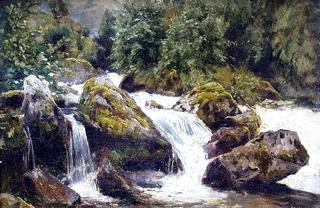 Rocky Riverbank
