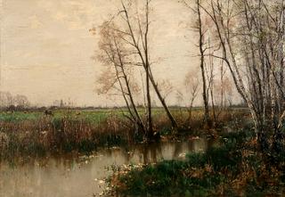 The Stream