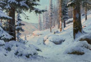 Forest in Winter