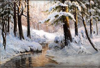 Forest in Winter