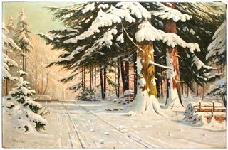 Forest Path in Winter