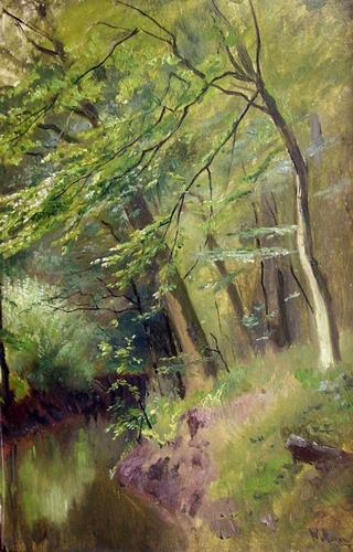 Forest in Spring