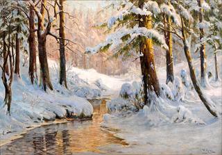 Winter in Oberharz near Schierke