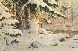 Forest in Winter