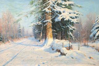 Forest in Winter