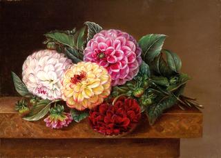 Still Life with Dahlias