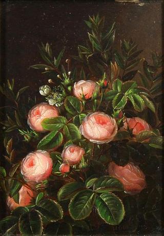 Still life with roses