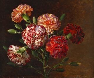 Red Carnations