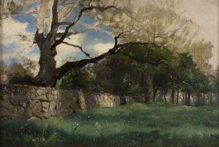 Landscape at Torsebro, near Kristianstad
