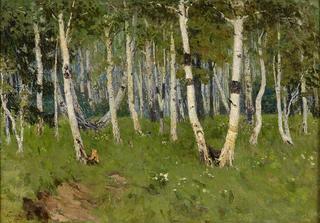 The Birch Grove