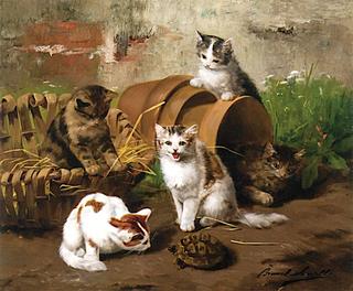 Kittens in the Garden with Turtle