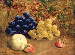 Still Life