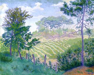 The Vineyard