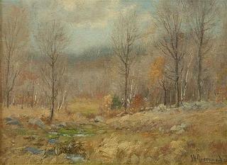 Worcester Woodlands