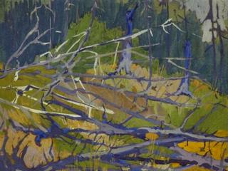 Forest Branches