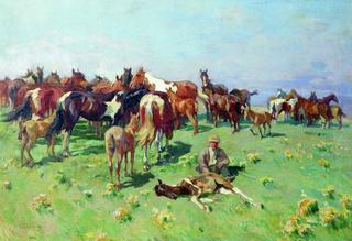 Horses