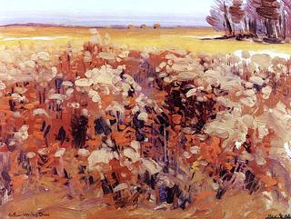 Flowering Fields