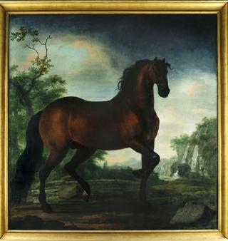 Portrait of a Horse